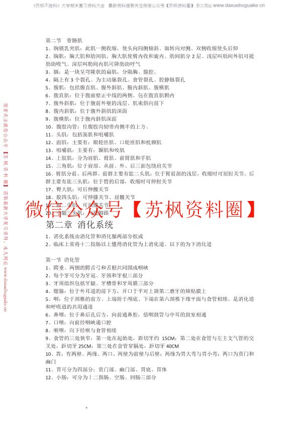 人体解剖学